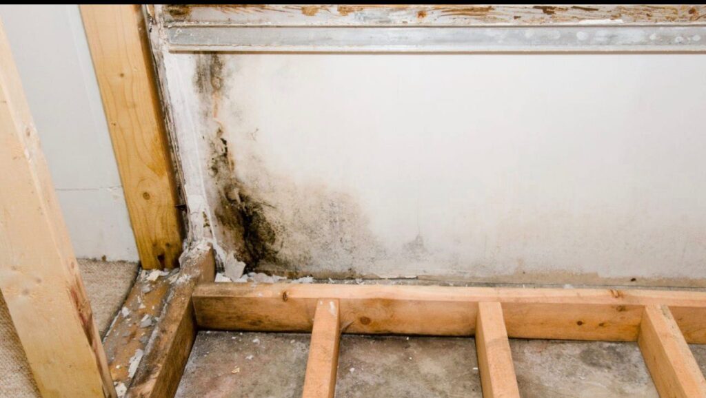 This image has an empty alt attribute; its file name is 1000428426-2-1024x578.jpg